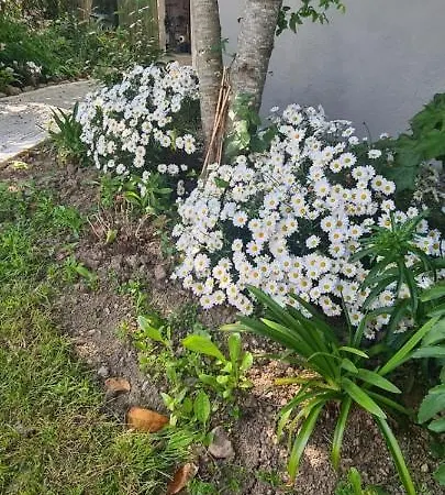 Oak Tree Lane Glamping * Bridgetown