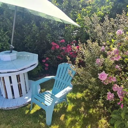 Oak Tree Lane Glamping Bridgetown