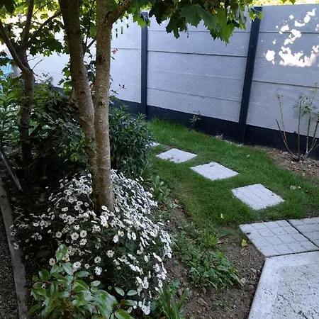 Oak Tree Lane Glamping 別荘 *