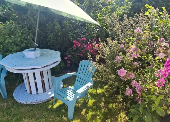 Oak Tree Lane Glamping Bridgetown (Wexford)