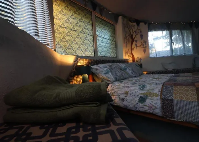 Oak Tree Lane Glamping